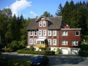 Harzhaus-am-Brunnen-Wohnung-4